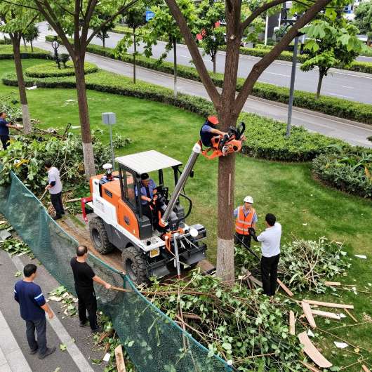 2026年工程设备租赁新趋势：树锯机租赁如何实现切割差异化(图2)