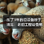 压了3年的旧设备终于清完：老旧工程设备租赁清退的血泪教训(图3)
