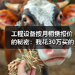 工程设备按月租赁报价的秘密：我花30万买