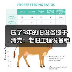 压了3年的旧设备终于清完：老旧工程设备租赁清退的血泪教训(图2)