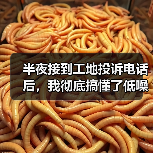 半夜接到工地投诉电话后，我彻底搞懂了低噪音工程设备租赁新规 - 天诚一站式工程设备租赁