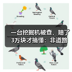 一台挖掘机被查,赔了3万块才搞懂:非道路机械环保租赁管控(图2) 一台挖掘机被查,赔了3万块才搞懂:非道路机械环保租赁管控(图2)