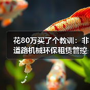 花80万买了个教训:非道路机械环保租赁管控,没你想的那么简单(图2) 花80万买了个教训:非道路机械环保租赁管控,没你想的那么简单(图2)