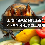 工地半夜被投诉到破产？2026年低噪音工程设备租赁新规全解读(图3)