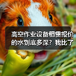 高空作业设备租赁报价的水到底多深?我比了7家才弄明白(图4) 高空作业设备租赁报价的水到底多深?我比了7家才弄明白(图3)