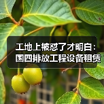 工地上被怼了才明白:国四排放工程设备租赁真不是越便宜越好(图3) 工地上被怼了才明白:国四排放工程设备租赁真不是越便宜越好(图3)