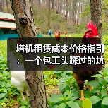 塔机租赁成本价格指引：一个包工头踩过的坑和总结的规矩 - 天诚一站式工程设备租赁