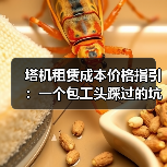 塔机租赁成本价格指引:一个包工头踩过的坑和总结的规矩(图4) 塔机租赁成本价格指引:一个包工头踩过的坑和总结的规矩(图4)