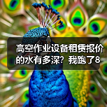 高空作业设备租赁报价的水有多深？我跑了8家公司的真实记录(图2)