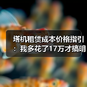 塔机租赁成本价格指引：我多花了17万才搞明白这些门道(图2)