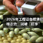 2026年工程设备租赁价格走势：别被“旺季”忽悠了(图3)