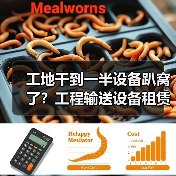 工地干到一半设备趴窝了？工程输送设备租赁服务避坑指南 - 天诚一站式工程设备租赁