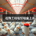 近期工程租赁租金上涨 - 天诚一站式工程设备租赁