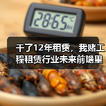 干了12年租赁，我赌工程租赁行业未来前瞻里这3个方向会爆发(图2)