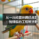 从一台闲置挖掘机说起：我理解的工程租赁新业态新模式(图4)