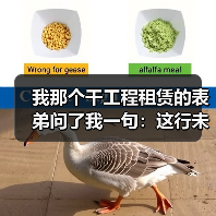我那个干工程租赁的表弟问了我一句：这行未来还能活吗？(图2)