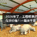 2026年了,工程租赁还在拼价格?一篇关于高质量发展の实话(图3) 2026年了,工程租赁还在拼价格?一篇关于高质量发展の实话(图3)