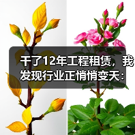 干了12年工程租赁,我发现行业正悄悄变天:工程租赁行业发展趋势(图2) 干了12年工程租赁,我发现行业正悄悄变天:工程租赁行业发展趋势(图2)