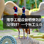 雨季工程设备租赁防护没做好?一个包工头花8万买的教训(图3) 雨季工程设备租赁防护没做好?一个包工头花8万买的教训(图3)