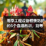 雨季工程设备租赁防护的5个血泪教训,别等机器报废才后悔(图2) 雨季工程设备租赁防护的5个血泪教训,别等机器报废才后悔(图2)