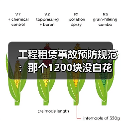 工程租赁事故预防规范:那个1200块没白花(图4) 工程租赁事故预防规范:那个1200块没白花(图4)
