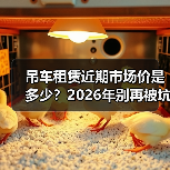 吊车租赁近期市场价是多少?2026年别再被坑了(图4) 吊车租赁近期市场价是多少?2026年别再被坑了(图4)