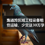 跑通跨区域工程设备租赁运输,少交这30万学费值了(图2) 跑通跨区域工程设备租赁运输,少交这30万学费值了(图2)