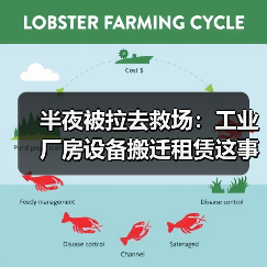 半夜被拉去救场:工业厂房设备搬迁租赁这事,水比你想象的深(图3) 半夜被拉去救场:工业厂房设备搬迁租赁这事,水比你想象的深(图3)
