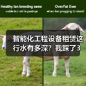 智能化工程设备租赁这行水有多深?我踩了3次坑才明白(图3) 智能化工程设备租赁这行水有多深?我踩了3次坑才明白(图3)