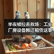 半夜被拉去救场:工业厂房设备搬迁租赁这事,水比你想象的深(图2) 半夜被拉去救场:工业厂房设备搬迁租赁这事,水比你想象的深(图2)
