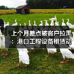 上个月差点被客户拉黑:港口工程设备租赁动态的水有多深?(图2) 上个月差点被客户拉黑:港口工程设备租赁动态的水有多深?(图2)