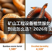矿山工程设备租赁服务到底怎么选?2026年实测3种方案(图3) 矿山工程设备租赁服务到底怎么选?2026年实测3种方案(图3)