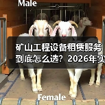 矿山工程设备租赁服务到底怎么选?2026年实测3种方案(图1) 矿山工程设备租赁服务到底怎么选?2026年实测3种方案(图1)