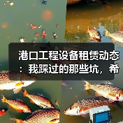 港口工程设备租赁动态:我踩过的那些坑,希望你别再走(图1) 港口工程设备租赁动态:我踩过的那些坑,希望你别再走(图1)