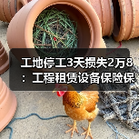 工地停工3天损失2万8：工程租赁设备保险保障别等出事再买 - ̫ƽ����Ѷ��