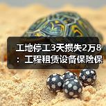 工地停工3天损失2万8:工程租赁设备保险保障别等出事再买(图2) 工地停工3天损失2万8:工程租赁设备保险保障别等出事再买(图2)