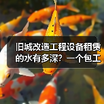 旧城改造工程设备租赁的水有多深?一个包工头朋友的翻车实录(图3) 旧城改造工程设备租赁的水有多深?一个包工头朋友的翻车实录(图3)
