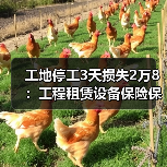 工地停工3天损失2万8:工程租赁设备保险保障别等出事再买(图3) 工地停工3天损失2万8:工程租赁设备保险保障别等出事再买(图3)