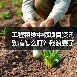 工程租赁中标项目资讯到底怎么盯？我浪费了三个月才搞明白 - 天诚一站式工程设备租赁