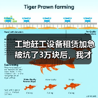 工地赶工设备租赁加急被坑了3万块后，我才知道这些门道(图3)