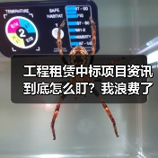 工程租赁中标项目资讯到底怎么盯?我浪费了三个月才搞明白(图2) 工程租赁中标项目资讯到底怎么盯?我浪费了三个月才搞明白(图2)
