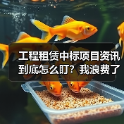 工程租赁中标项目资讯到底怎么盯?我浪费了三个月才搞明白(图3) 工程租赁中标项目资讯到底怎么盯?我浪费了三个月才搞明白(图3)