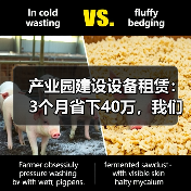 产业园建设设备租赁:3个月省下40万,我们做对了什么?(图3) 产业园建设设备租赁:3个月省下40万,我们做对了什么?(图3)