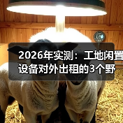 2026年实测:工地闲置设备对外出租的3个野路子,少亏几十万(图3) 2026年实测:工地闲置设备对外出租的3个野路子,少亏几十万(图3)