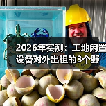 2026年实测:工地闲置设备对外出租的3个野路子,少亏几十万(图4) 2026年实测:工地闲置设备对外出租的3个野路子,少亏几十万(图4)