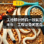 工地那台挖机一放就是半年:工程设备闲置盘活租赁的真心话(图3) 工地那台挖机一放就是半年:工程设备闲置盘活租赁的真心话(图3)