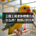 工程工期紧张租赁方案怎么选?我踩过的坑和后来想通的事(图2) 工程工期紧张租赁方案怎么选?我踩过的坑和后来想通的事(图2)