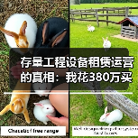 存量工程设备租赁运营的真相:我花380万买来的3个教训(图4) 存量工程设备租赁运营的真相:我花380万买来的3个教训(图4)
