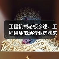 工程机械老板亲述:工程租赁市场行业洗牌来得比我想象快(图2) 工程机械老板亲述:工程租赁市场行业洗牌来得比我想象快(图2)