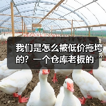 我们是怎么被低价拖垮的?一个仓库老板的“低价恶性租赁竞争整治”血泪史(图2) 我们是怎么被低价拖垮的?一个仓库老板的“低价恶性租赁竞争整治”血泪史(图2)